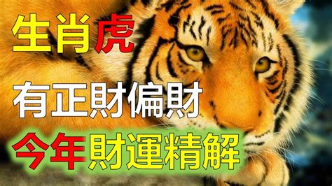 哪個生肖最多人|迎虎年｜港人十二生肖排行榜 屬虎人數排第四 最多人 